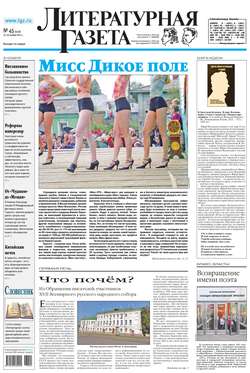 Литературная газета №45 (6438) 2013