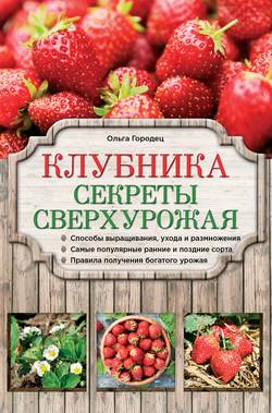 Клубника. Секреты сверхурожая