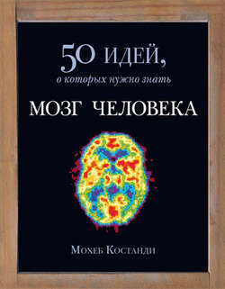 Мозг человека. 50 идей, о которых нужно знать