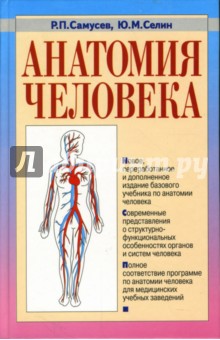 Анатомия человека: Учебник