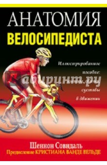 Анатомия велосипедиста