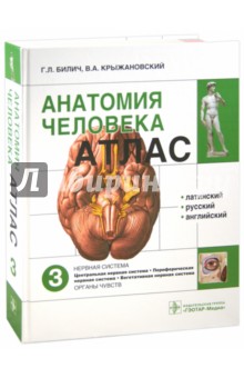 Атлас анатомии человека. В 3-х томах. Том 3