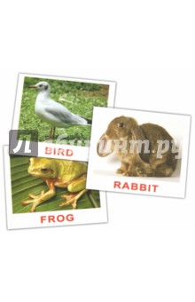 Комплект карточек мини на английском языке "Animals" 8х10 см