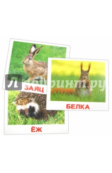 Комплект карточек "Дикие животные" 16,5х19,5 см.