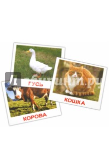 Комплект карточек мини "Домашние животные" 8х10 см