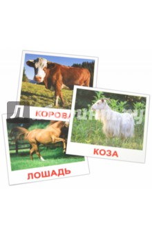 Комплект карточек "Домашние животные" 16,5х19,5 см.