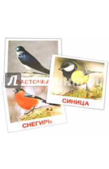 Комплект карточек "Птицы" 16,5х19,5 см.