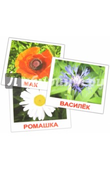 Комплект карточек "Цветы" 16,5х19,5 см