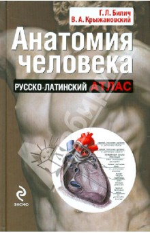 Анатомия человека: русско-латинский атлас
