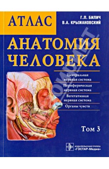 Анатомия человека. Атлас. В 3-х томах. Том 3