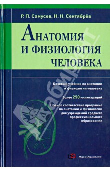 Анатомия и физиология человека: учебное пособие