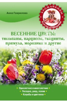 Весенние цветы: тюльпаны, нарциссы, гиацинты, примула, морозник и другие