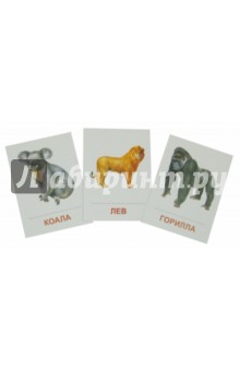 Раздаточные карточки "Животные жарких стран" (63х87 мм)