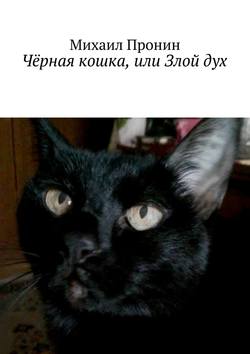 Чёрная кошка, или Злой дух