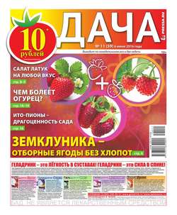 Дача Pressa.ru 11-2016