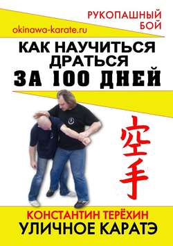 Уличное каратэ. Как научиться драться за 100 дней