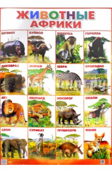 Плакат "Животные Африки" (550х770)