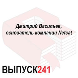 Дмитрий Васильев, основатель компании Netcat