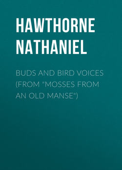 Buds and Bird Voices (From "Mosses from an Old Manse")