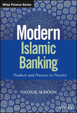 Modern Islamic Banking. Products and Processes in Practice