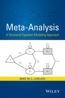 Meta-Analysis. A Structural Equation Modeling Approach