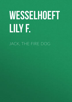 Jack, the Fire Dog