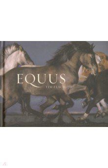 Equus by Tim Flach (Mini)