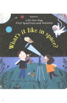 Questions & Answers: What's It Like in Space?