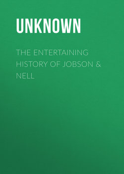 The Entertaining History of Jobson & Nell