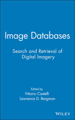 Image Databases