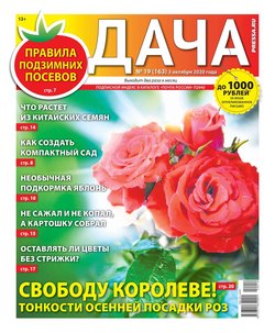 Дача Pressa.ru 19-2020