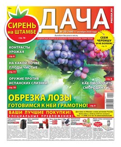 Дача Pressa.ru 20-2020