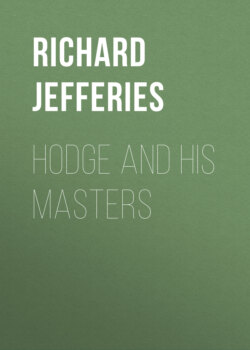 Hodge and His Masters