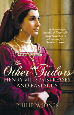 Other Tudors: Henry VIII's Mistresses & Bastards