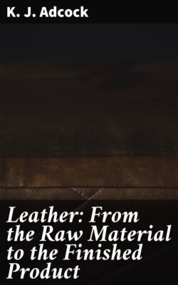 Leather: From the Raw Material to the Finished Product