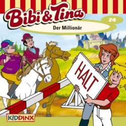 Bibi & Tina, Folge 24: Der Millionär