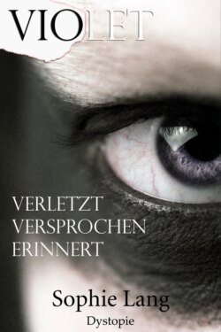 Violet - Verletzt / Versprochen / Erinnert - Buch 1-3