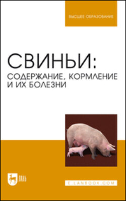 Свиньи: содержание, кормление и болезни