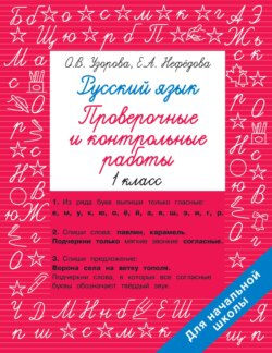 Русский язык. 1 класс. Проверочные и контрольные работы