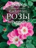 Садовые розы. Большая энциклопедия