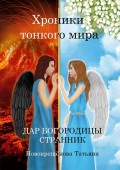 Хроники тонкого мира. Дар Богородицы. Странник