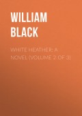 White Heather: A Novel (Volume 2 of 3)