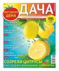 Дача Pressa.ru 23-2018