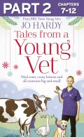 Tales from a Young Vet: Part 2 of 3: Mad cows, crazy kittens, and all creatures big and small