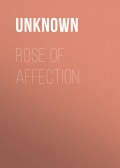 Rose of Affection