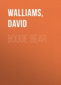 Boogie Bear