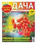Дача Pressa.ru 19-2019