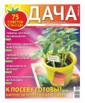 Дача Pressa.ru 03-2020