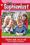 Sophienlust 171 – Familienroman