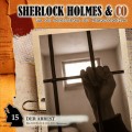 Sherlock Holmes & Co, Folge 15: Der Arrest
